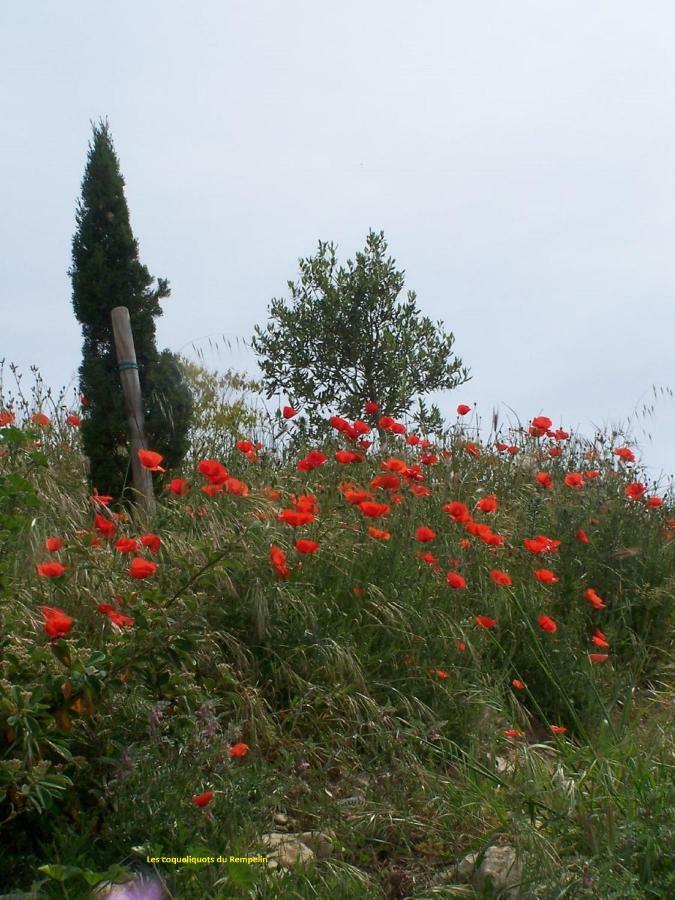 Bastide Du Rempelin Bed and Breakfast Aix-en-Provence Exterior foto